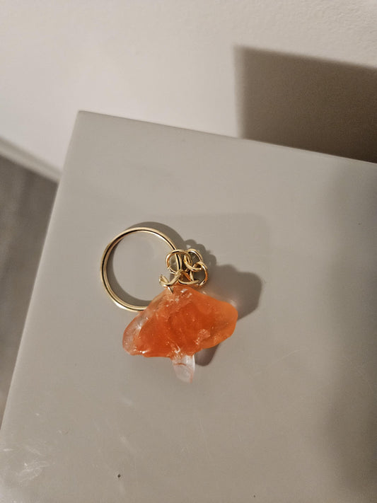 Custom Mushroom Keychains Personalized Color Original Mold Fall Gift