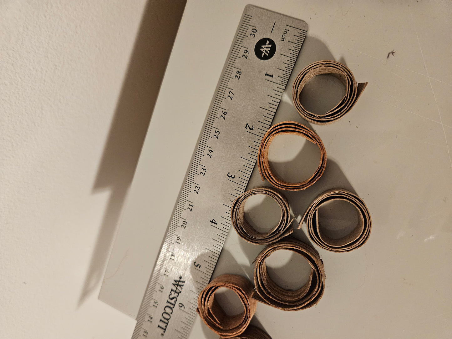 Pre-Coiled Bentwood Ring Blanks