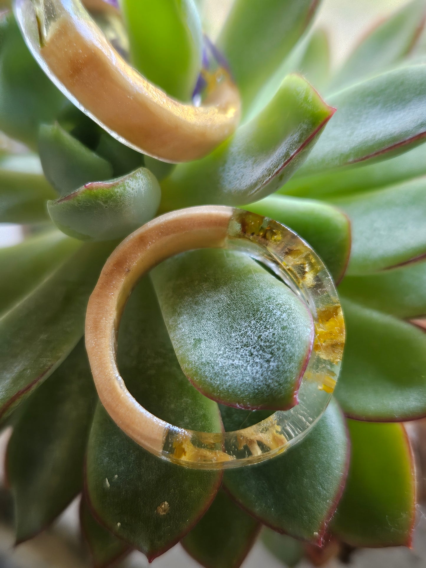 Wood & Resin Rings with Real Flowers