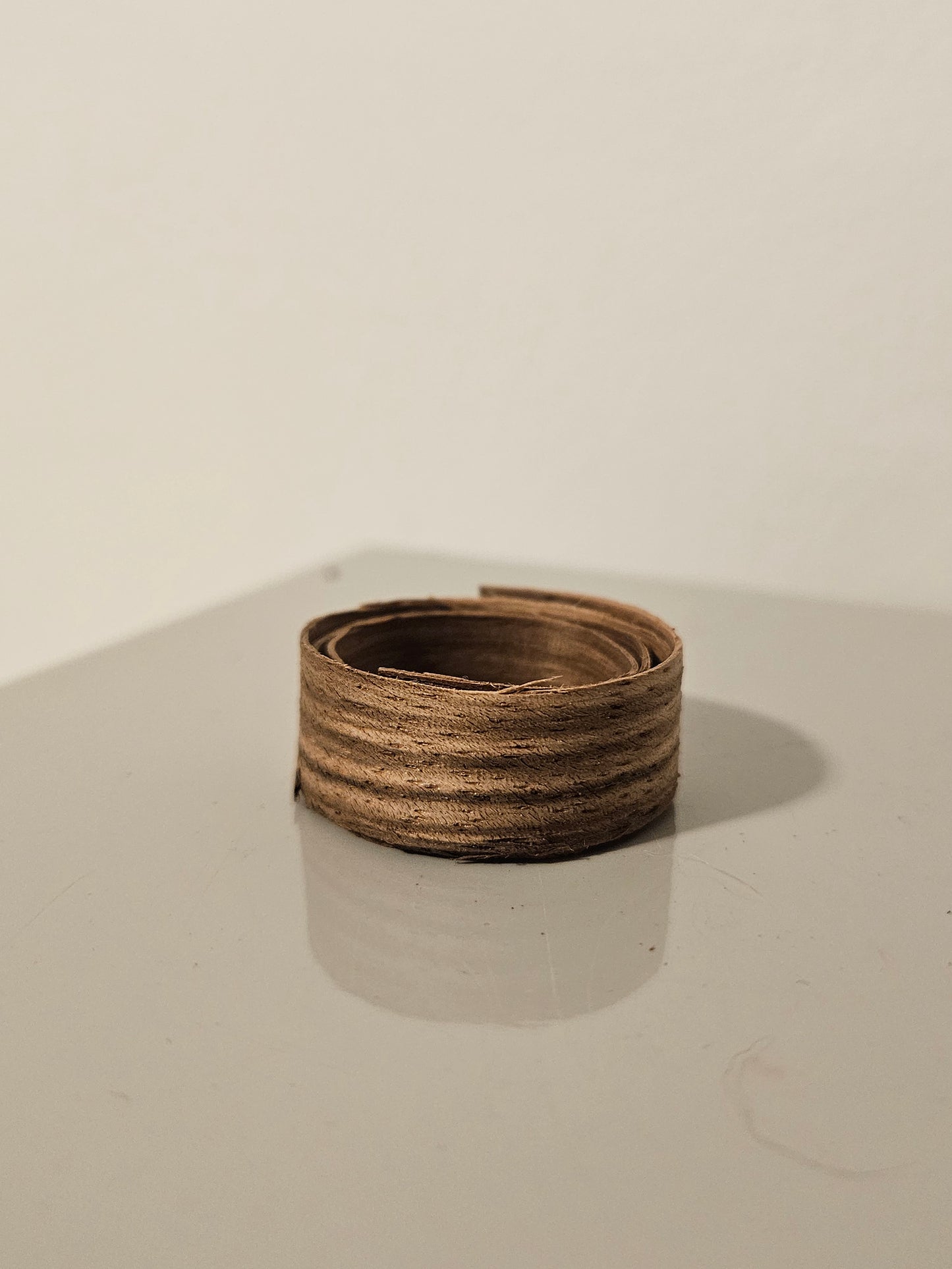 Pre-Coiled Bentwood Ring Blanks